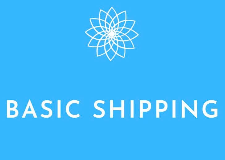 basicshippinginc.com